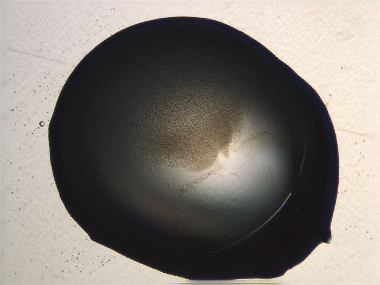 04i5_H10_ImagerDefaults_3.jpg