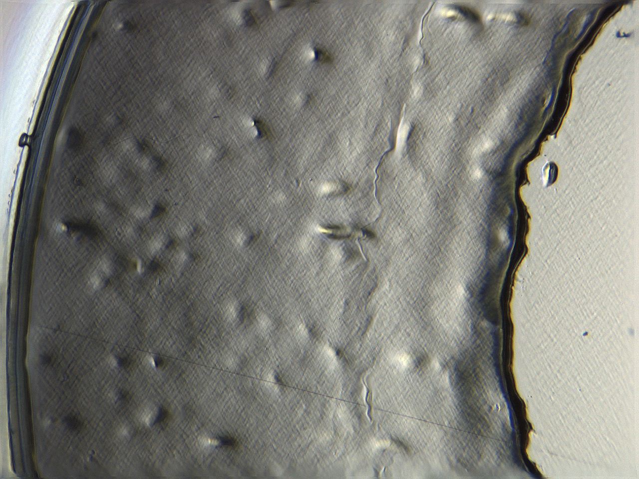 04i5_H11_ImagerDefaults_3.jpg