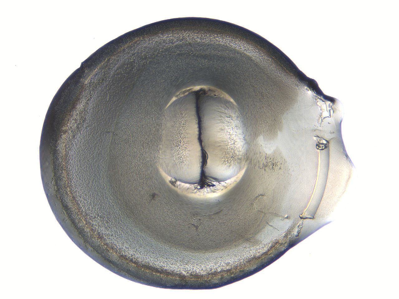 04i6_A7_ImagerDefaults_3.jpg