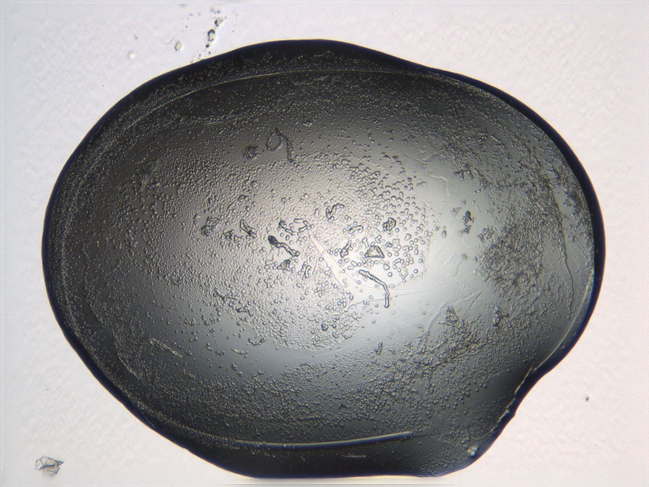 04i6_B5_ImagerDefaults_3.jpg
