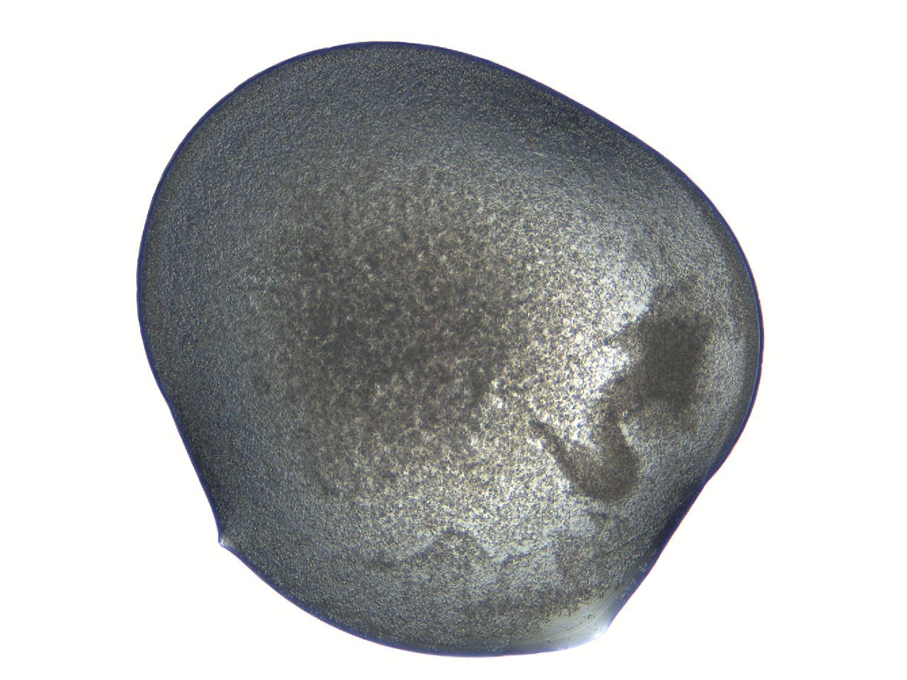 04i6_C1_ImagerDefaults_3.jpg