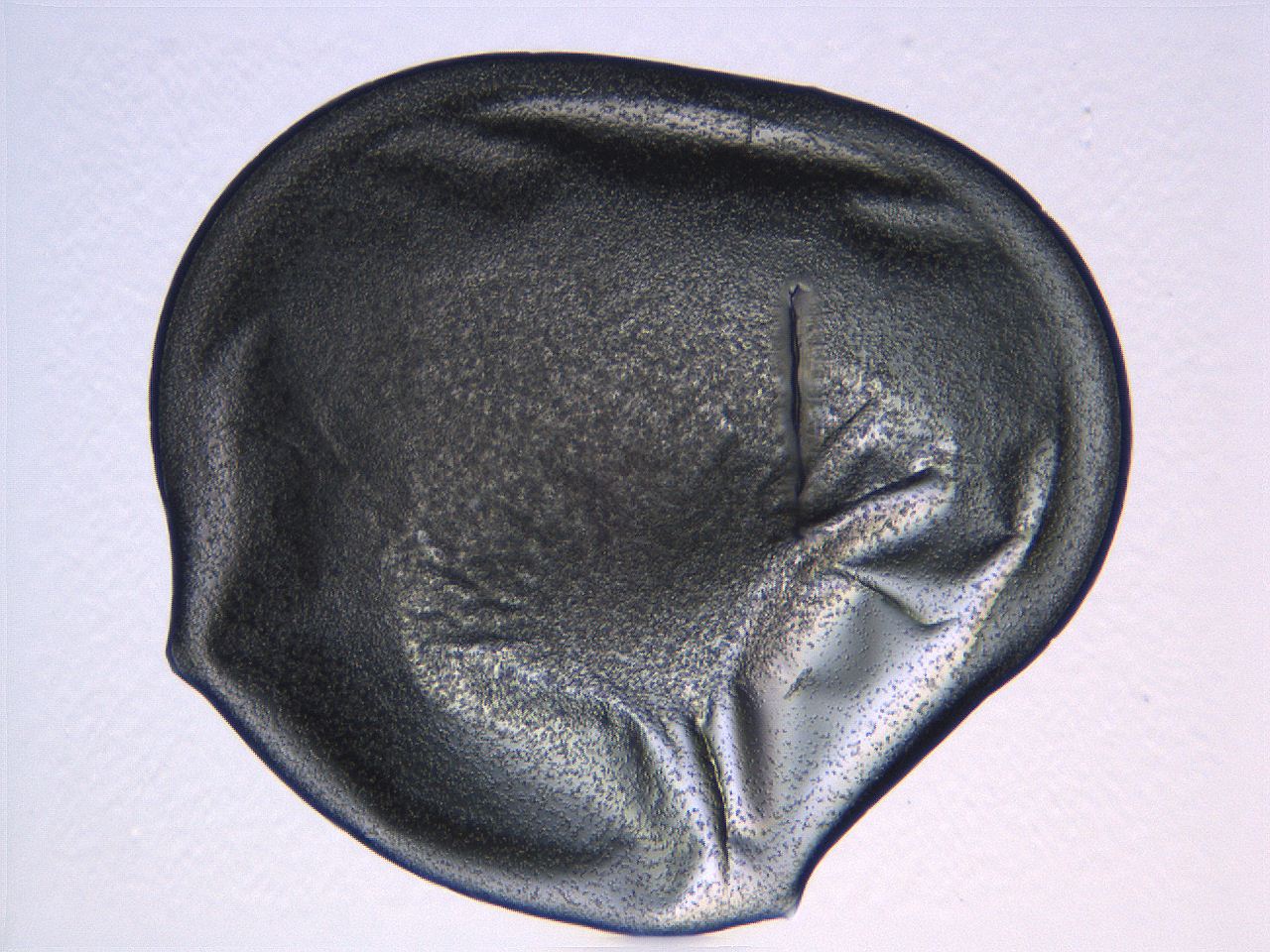 04i6_B1_ImagerDefaults_3.jpg
