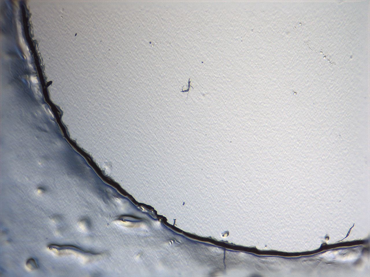 04i6_A12_ImagerDefaults_3.jpg