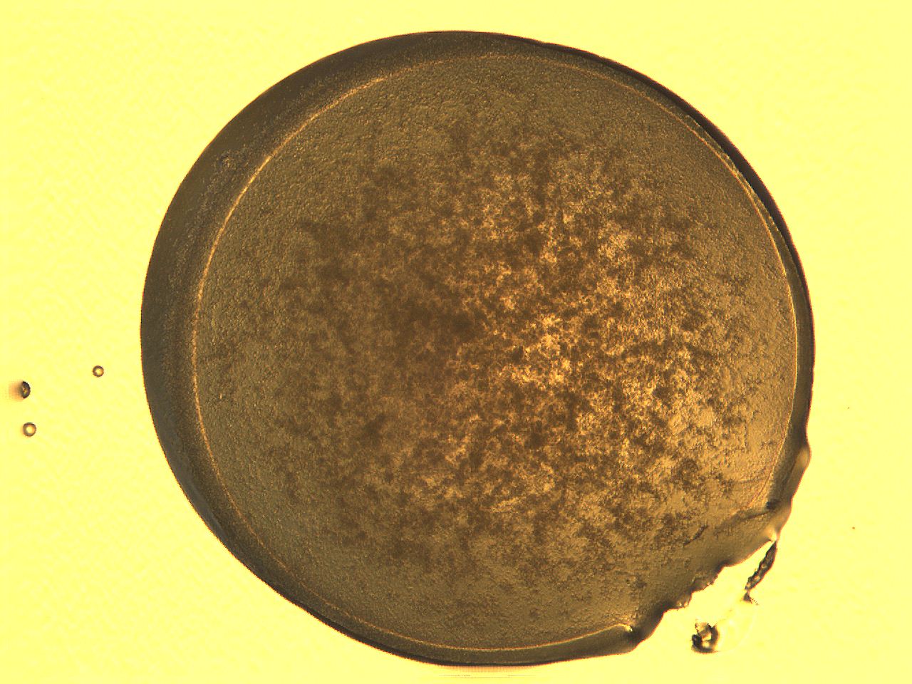 04i6_A11_ImagerDefaults_3.jpg