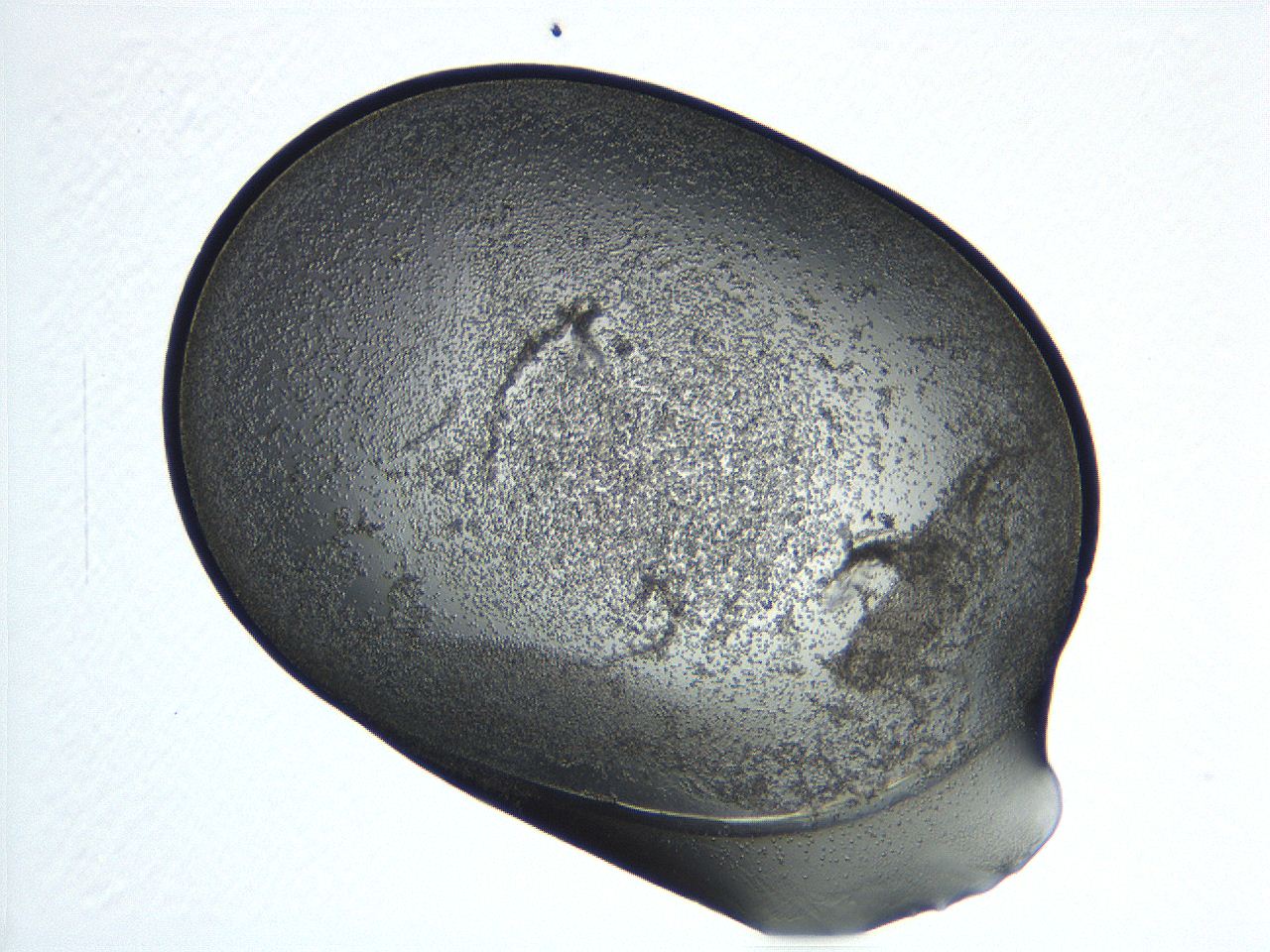 04i6_C5_ImagerDefaults_3.jpg