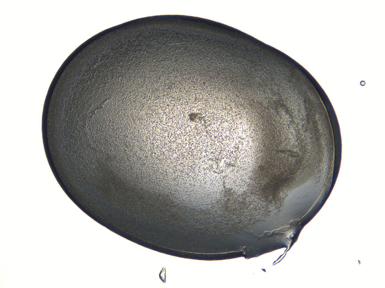 04i6_C6_ImagerDefaults_3.jpg