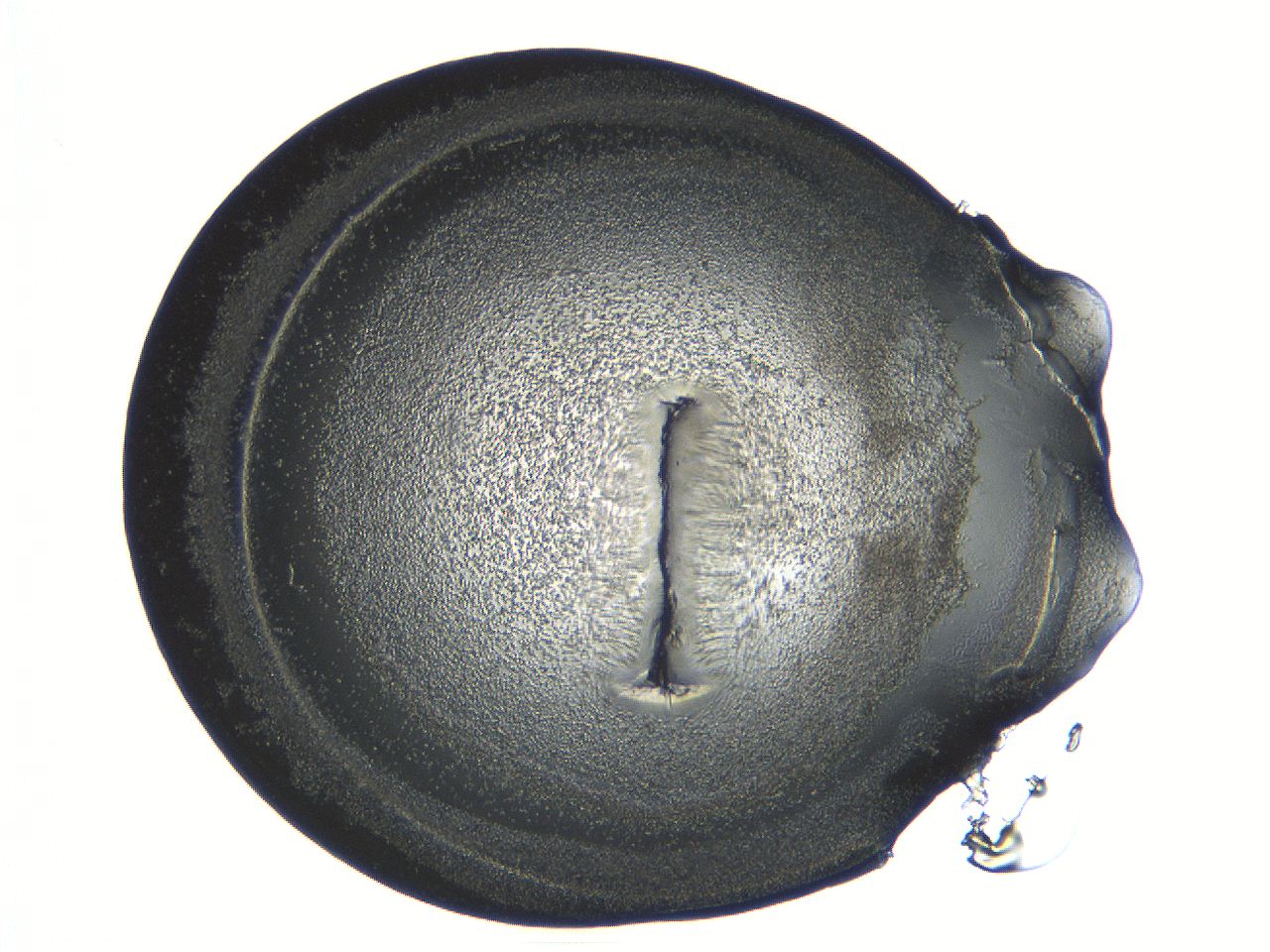 04i6_C7_ImagerDefaults_3.jpg