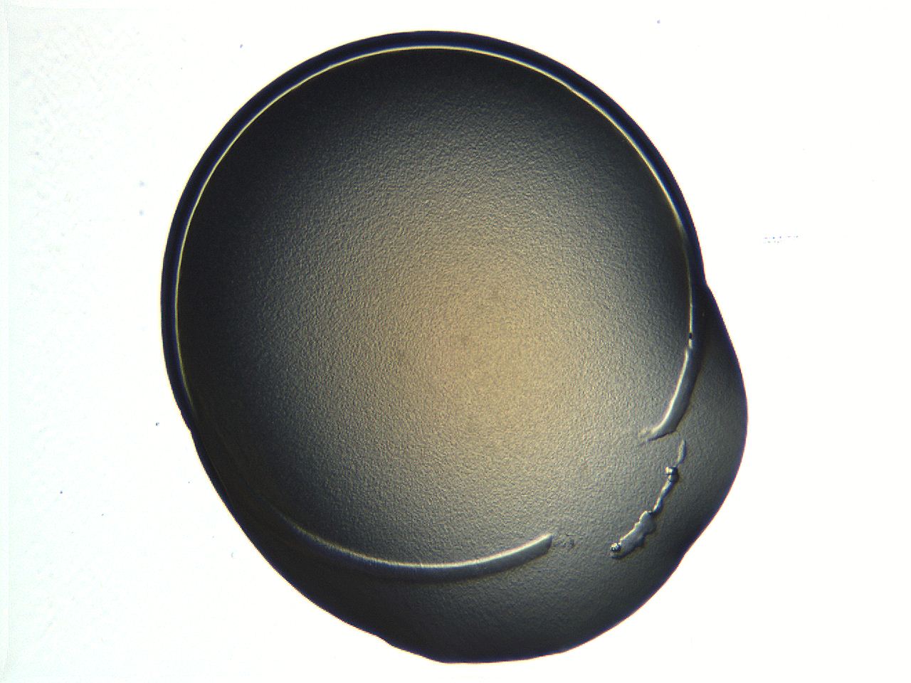 04i6_C9_ImagerDefaults_3.jpg