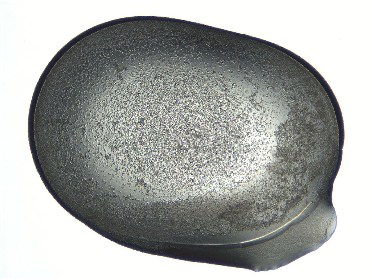 04i6_D5_ImagerDefaults_3.jpg