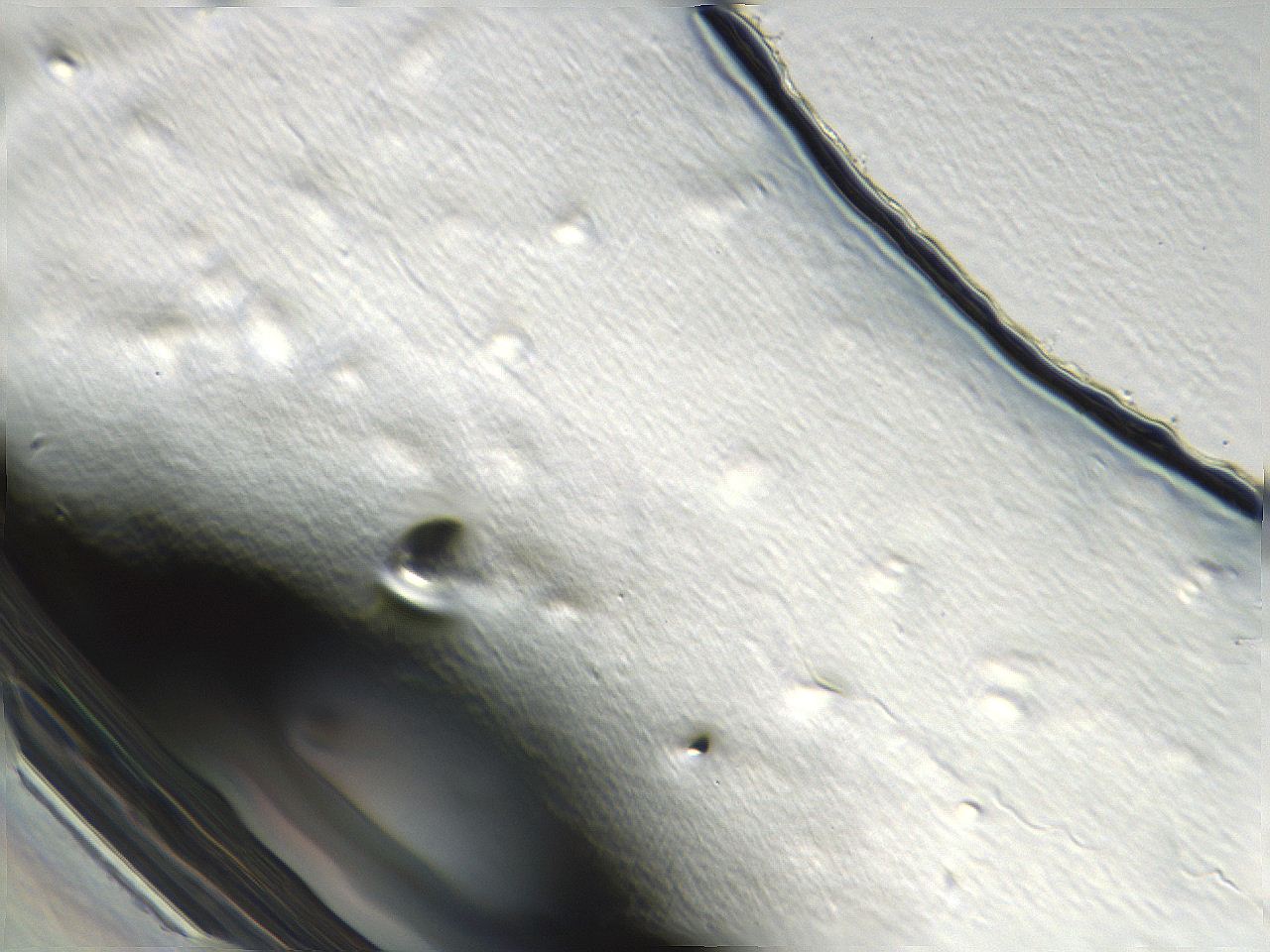 04i6_D6_ImagerDefaults_3.jpg