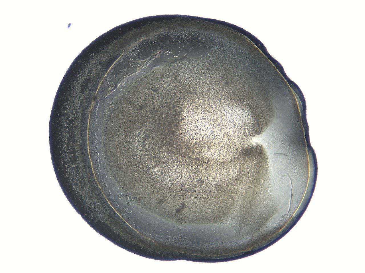 04i6_D11_ImagerDefaults_3.jpg