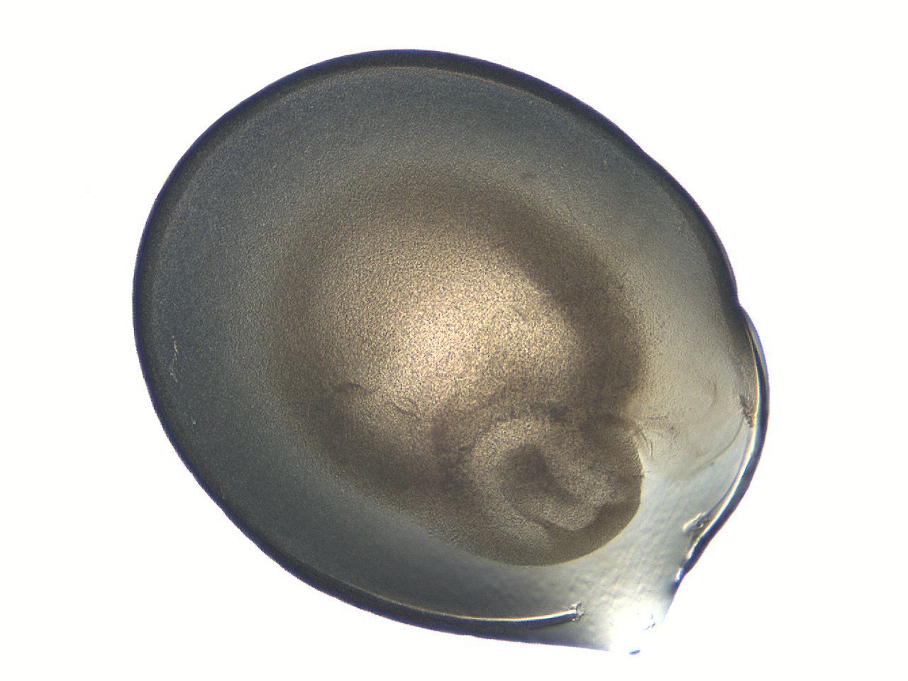 04i6_E3_ImagerDefaults_3.jpg
