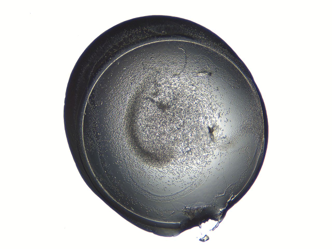 04i6_B12_ImagerDefaults_3.jpg