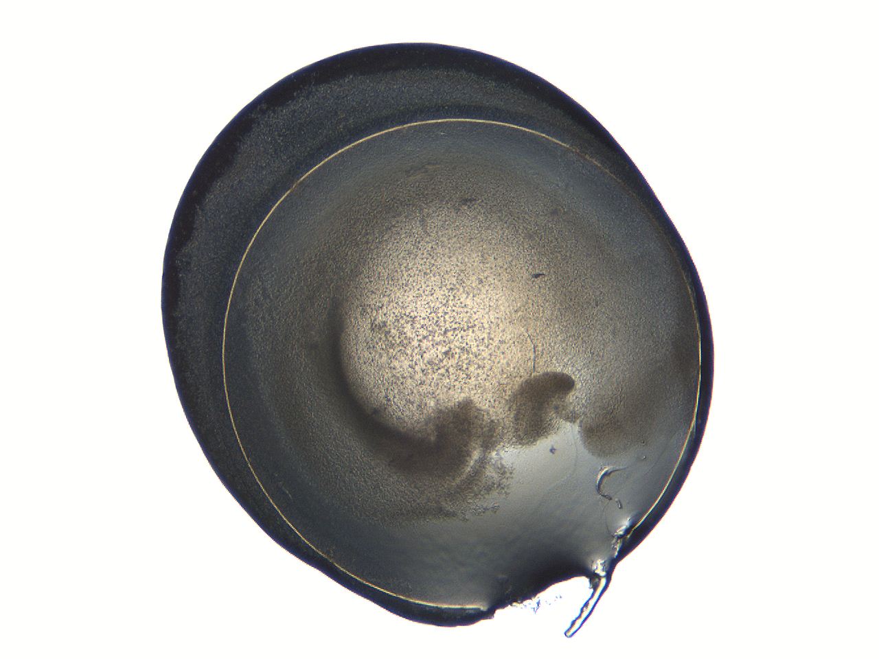 04i6_B11_ImagerDefaults_3.jpg