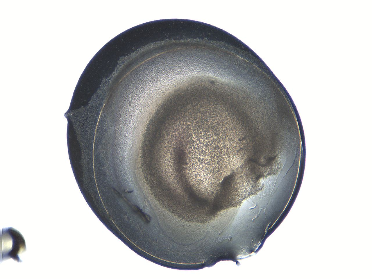 04i6_B9_ImagerDefaults_3.jpg