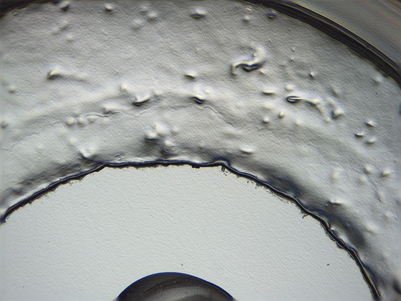 04i6_B8_ImagerDefaults_3.jpg