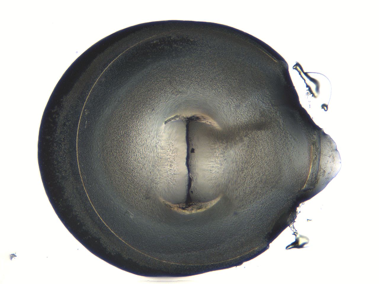 04i6_B7_ImagerDefaults_3.jpg