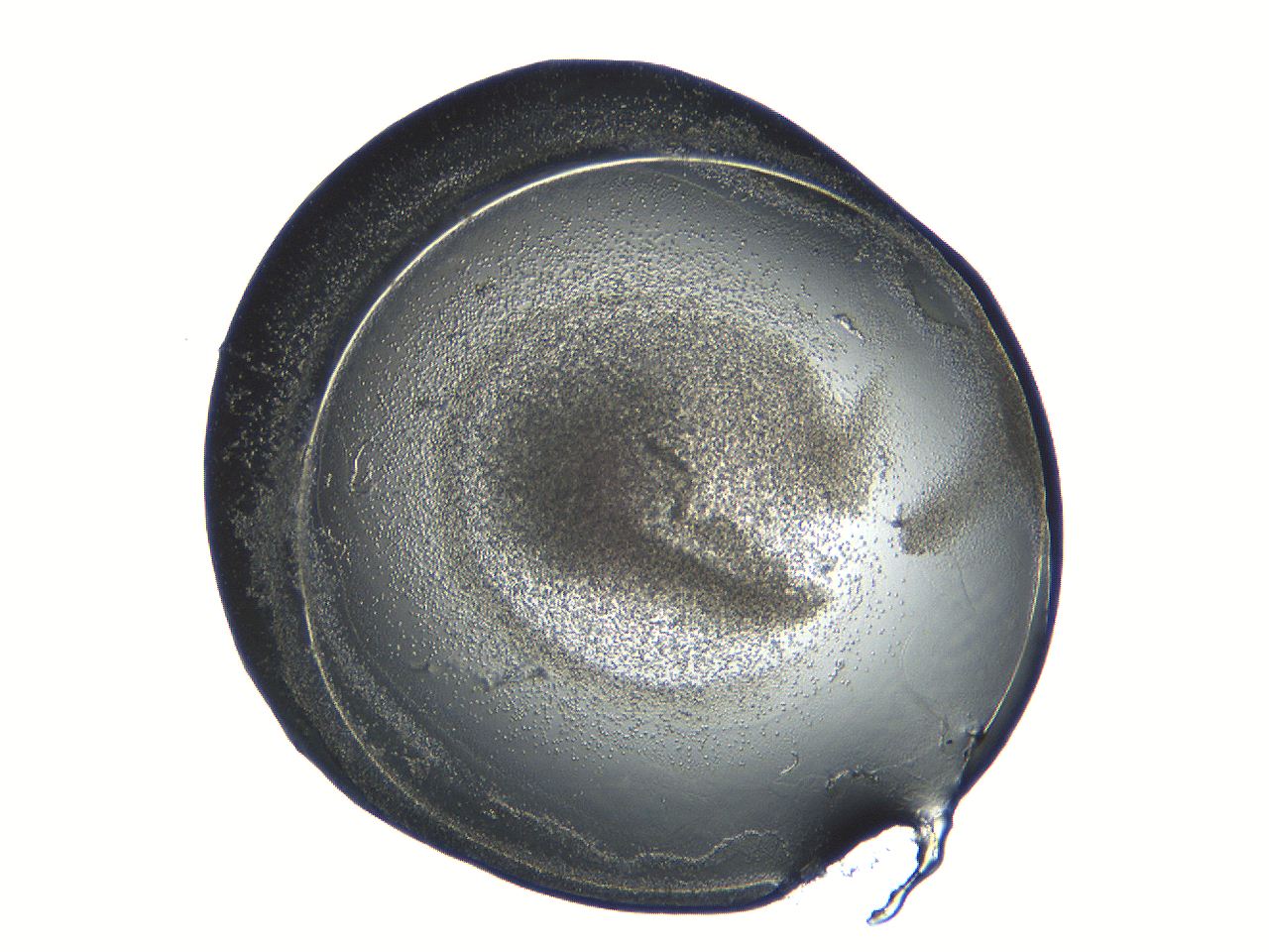 04i6_C11_ImagerDefaults_3.jpg