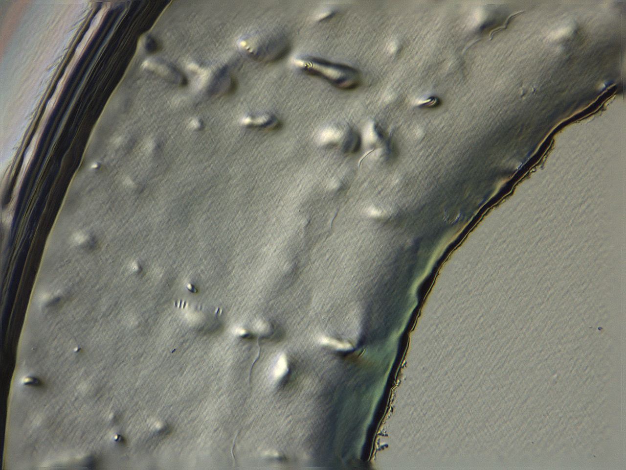 04i6_E4_ImagerDefaults_3.jpg