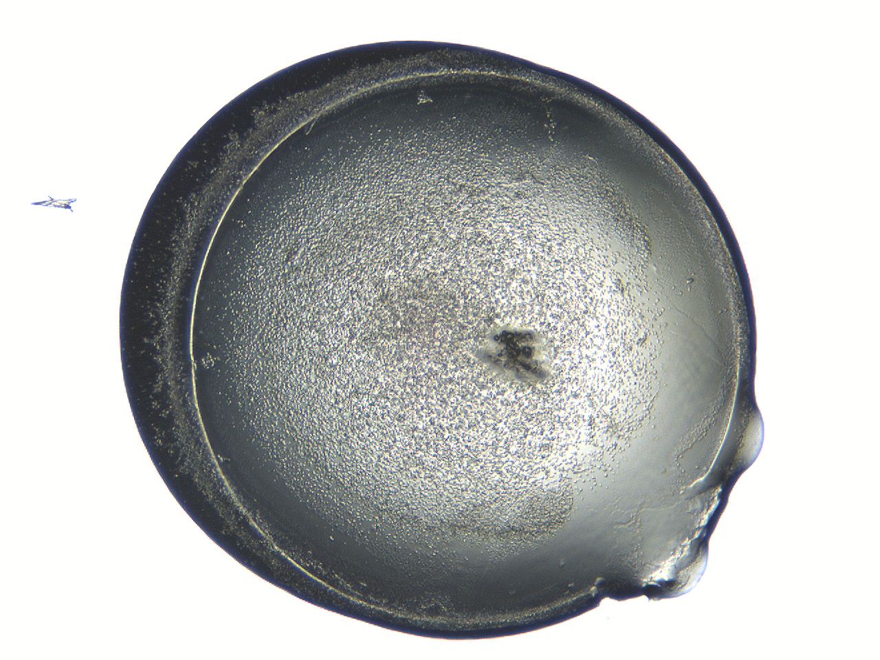04i6_E9_ImagerDefaults_3.jpg