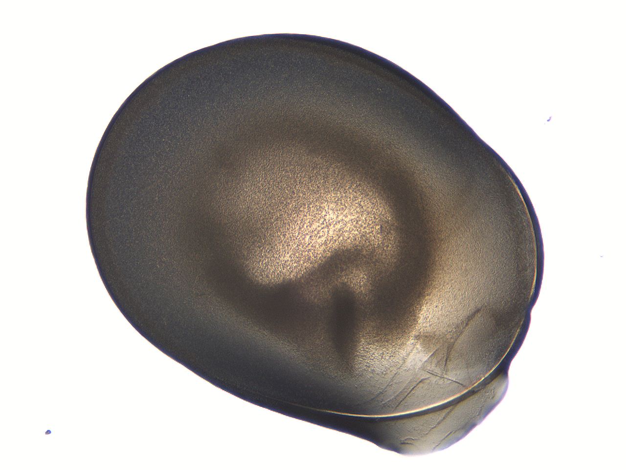04i6_A4_ImagerDefaults_3.jpg