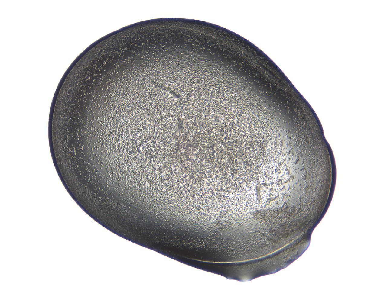 04i6_A3_ImagerDefaults_3.jpg