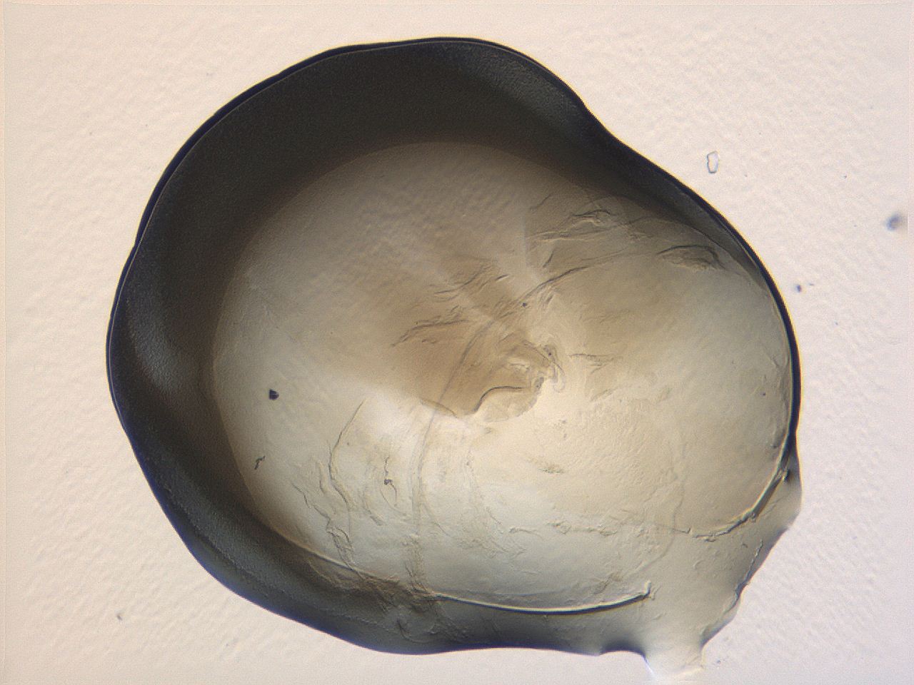 04i6_A2_ImagerDefaults_3.jpg
