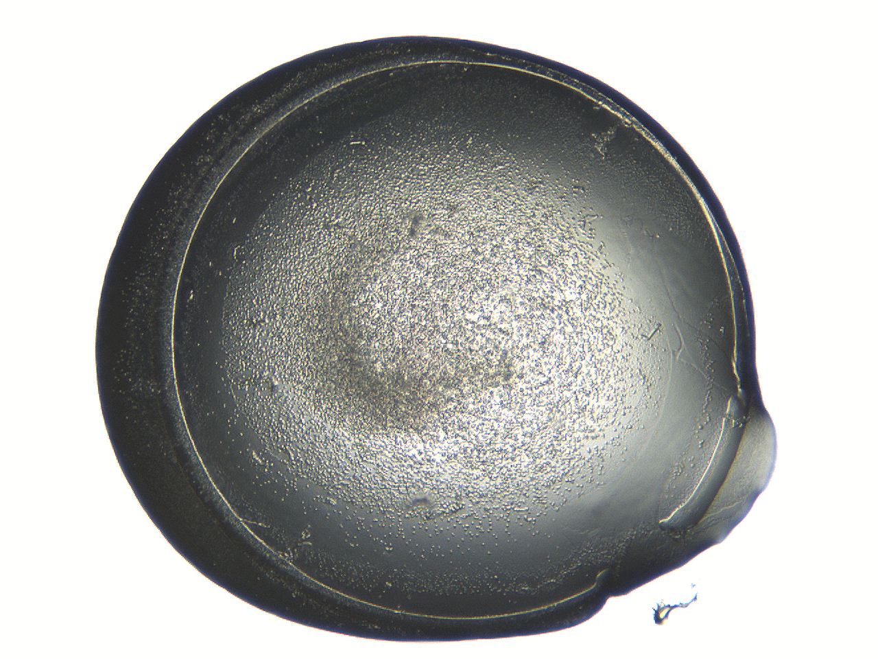04i6_E11_ImagerDefaults_3.jpg