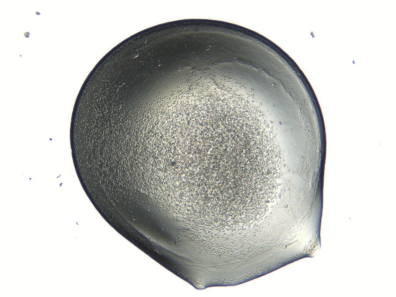 04i6_F1_ImagerDefaults_3.jpg