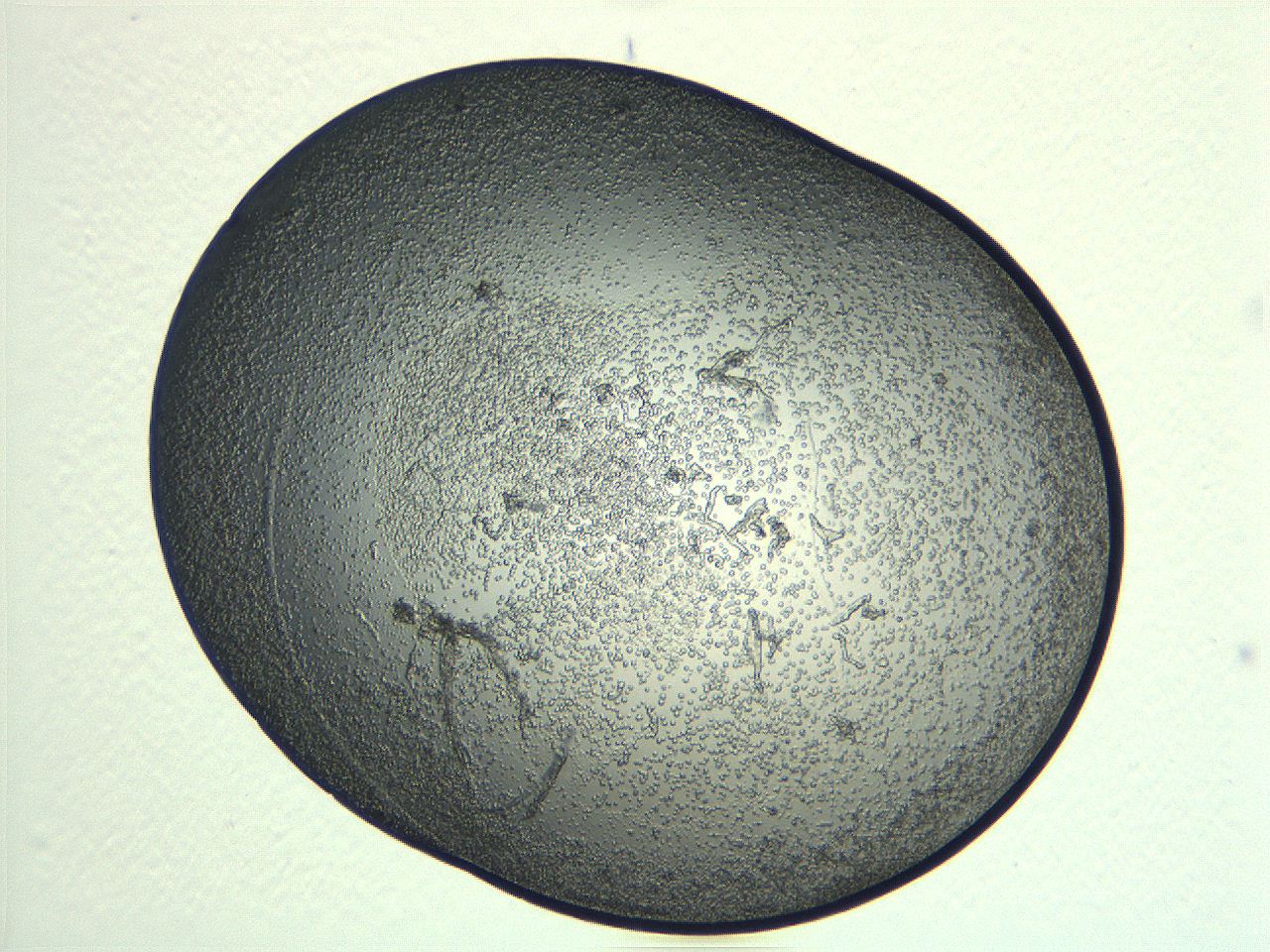 04i6_F2_ImagerDefaults_3.jpg