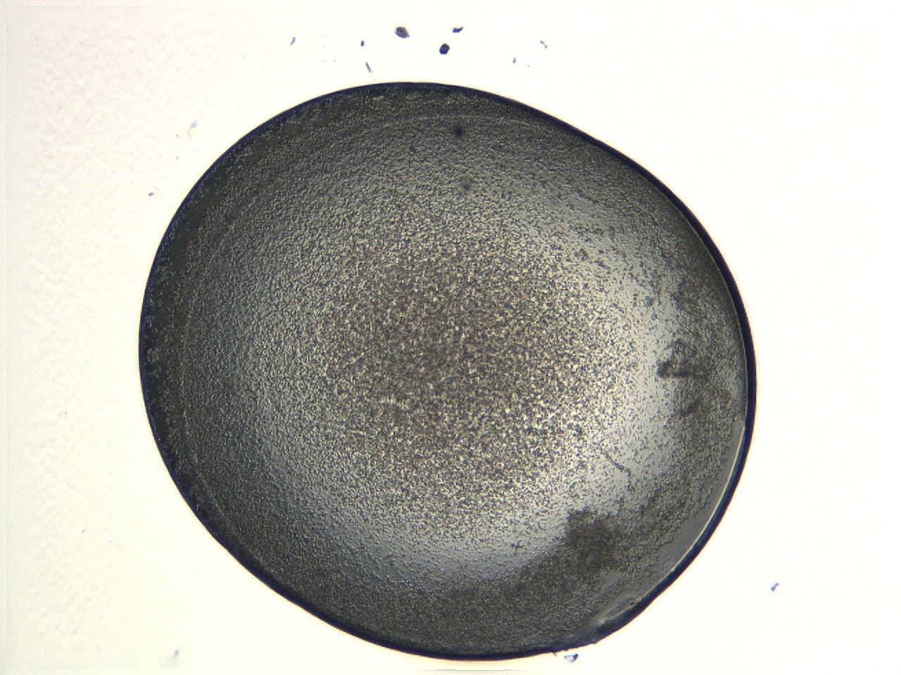 04i6_F3_ImagerDefaults_3.jpg