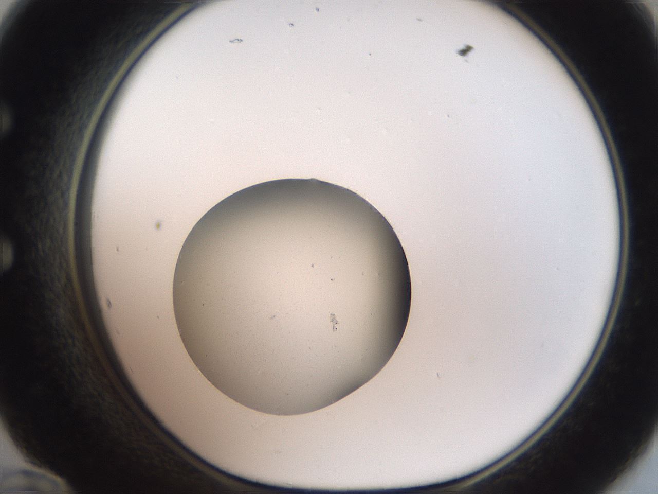 folderID454_plateID3454_batchID20369_wellNum60_profileID1_d1_r310427_ef.jpg