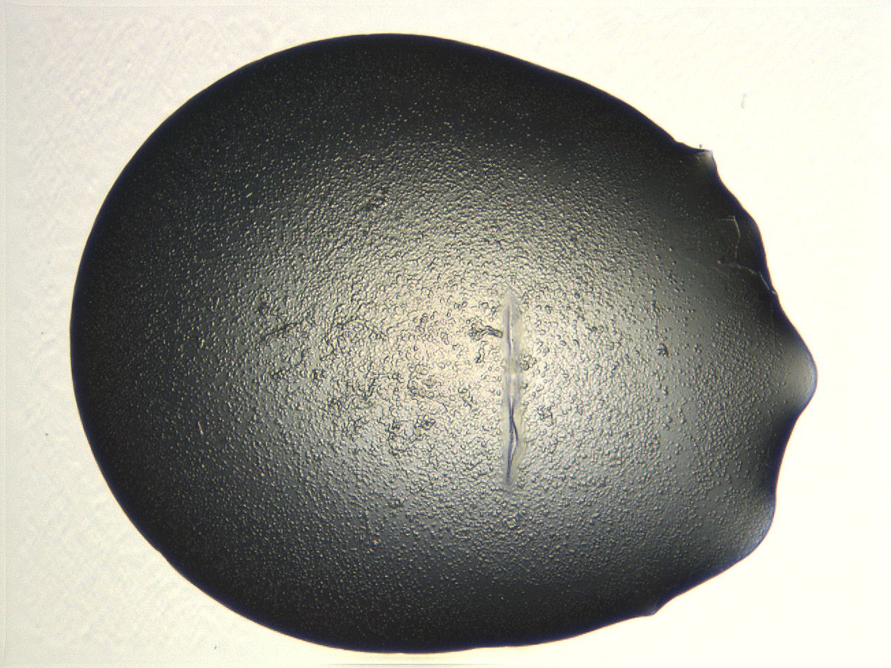 04i6_F7_ImagerDefaults_3.jpg