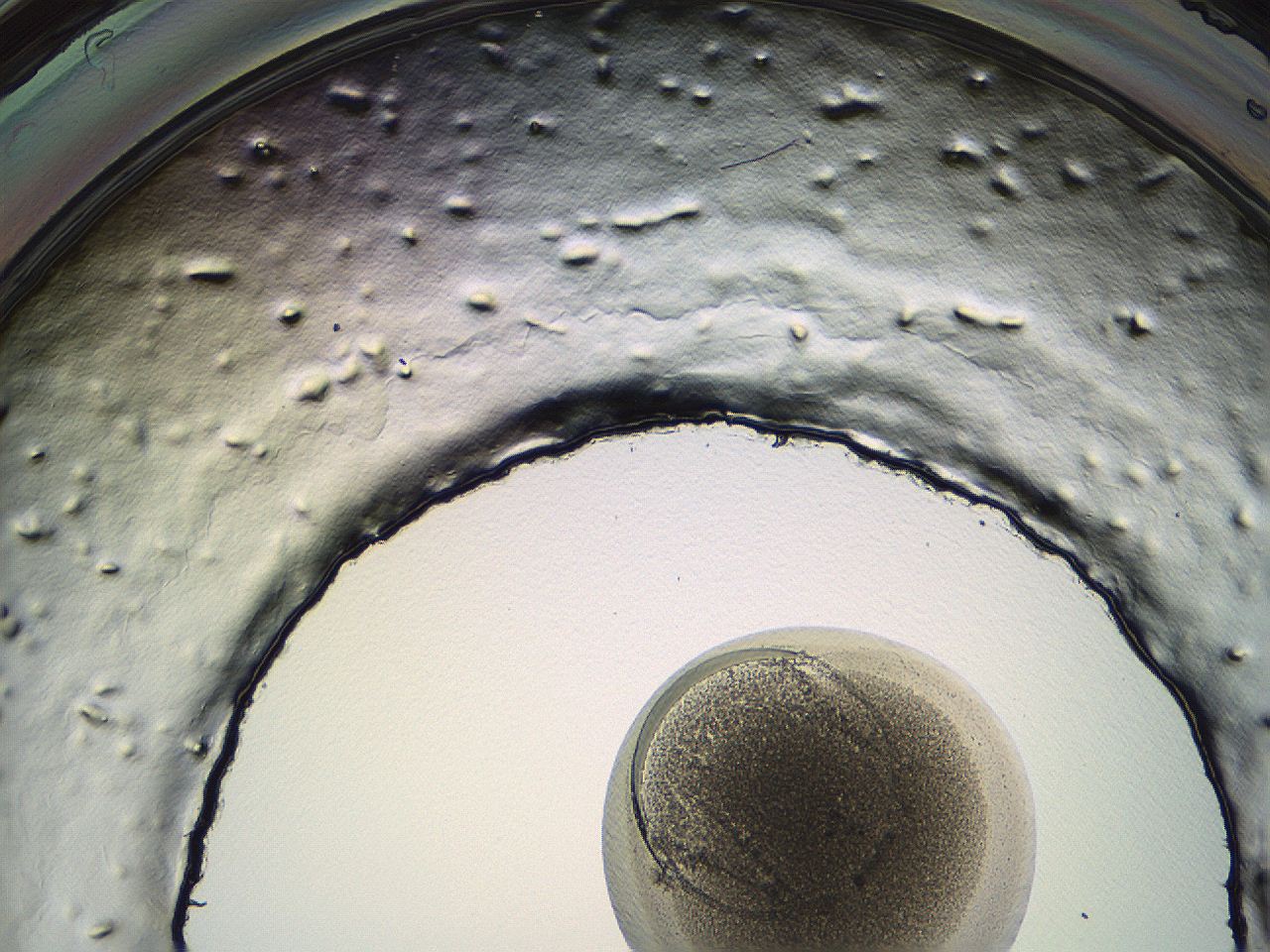 04i6_F11_ImagerDefaults_3.jpg