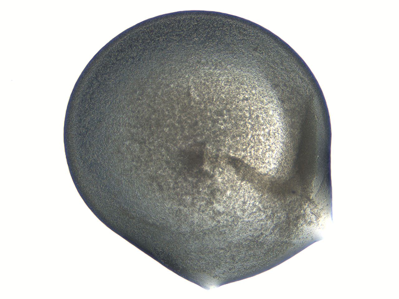04i6_G1_ImagerDefaults_3.jpg