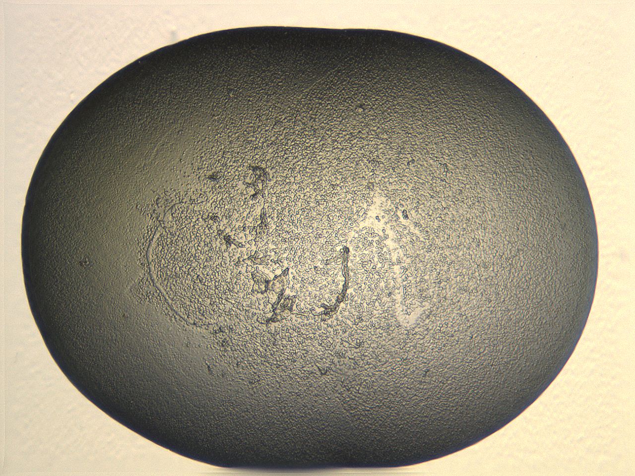 04i6_G2_ImagerDefaults_3.jpg