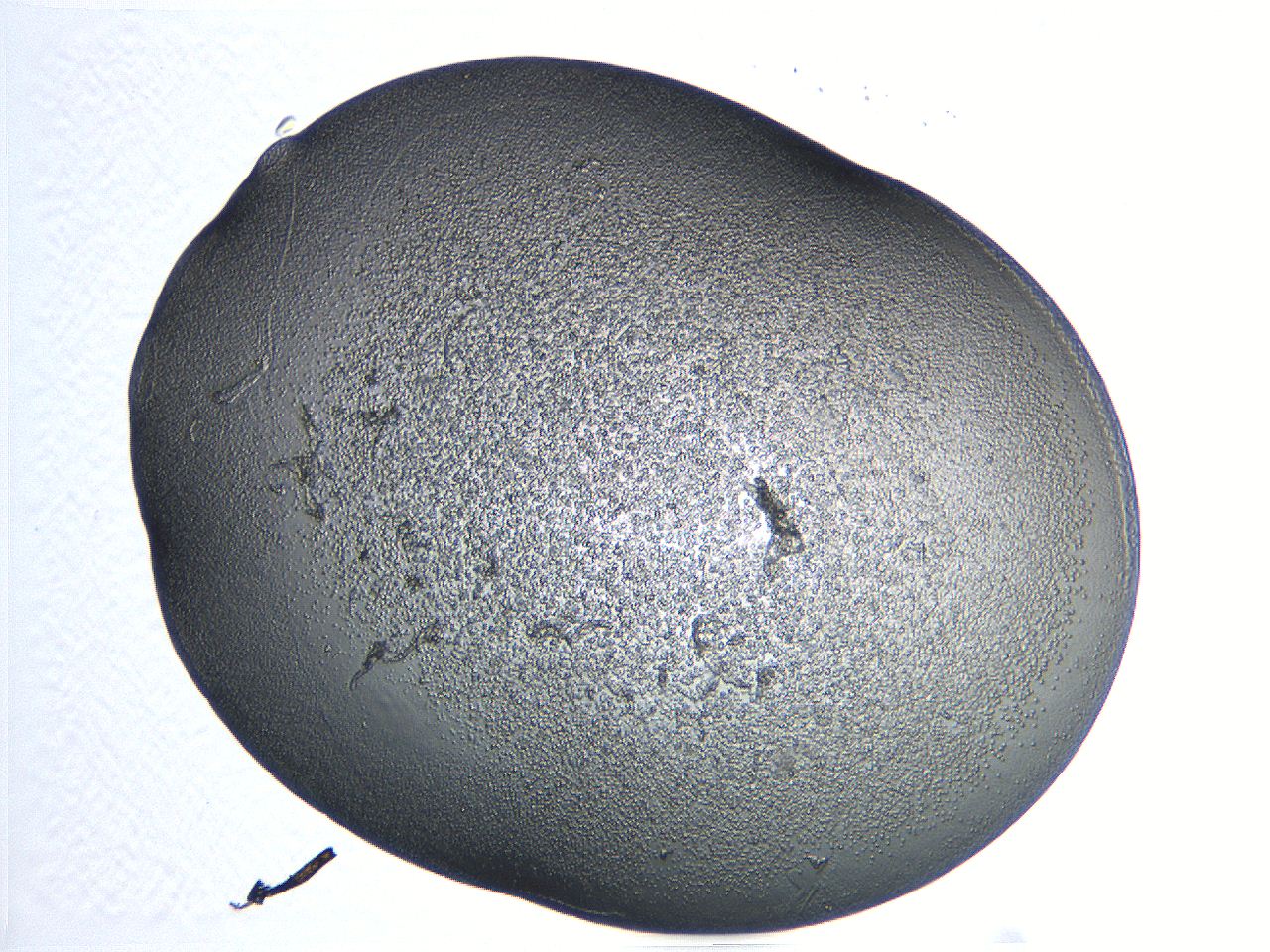 04i6_G3_ImagerDefaults_3.jpg