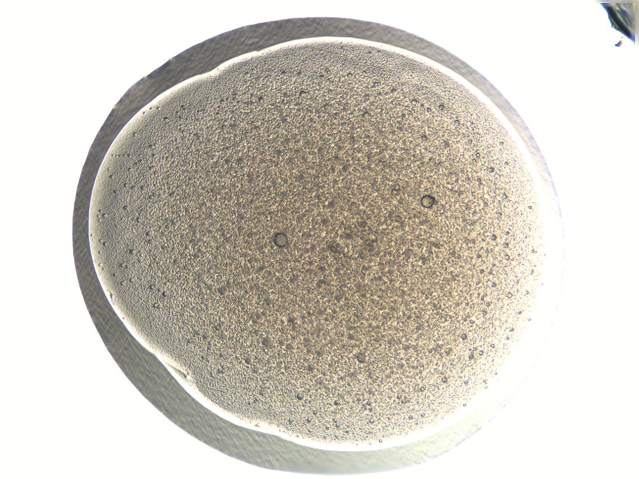 04i6_G8_ImagerDefaults_3.jpg