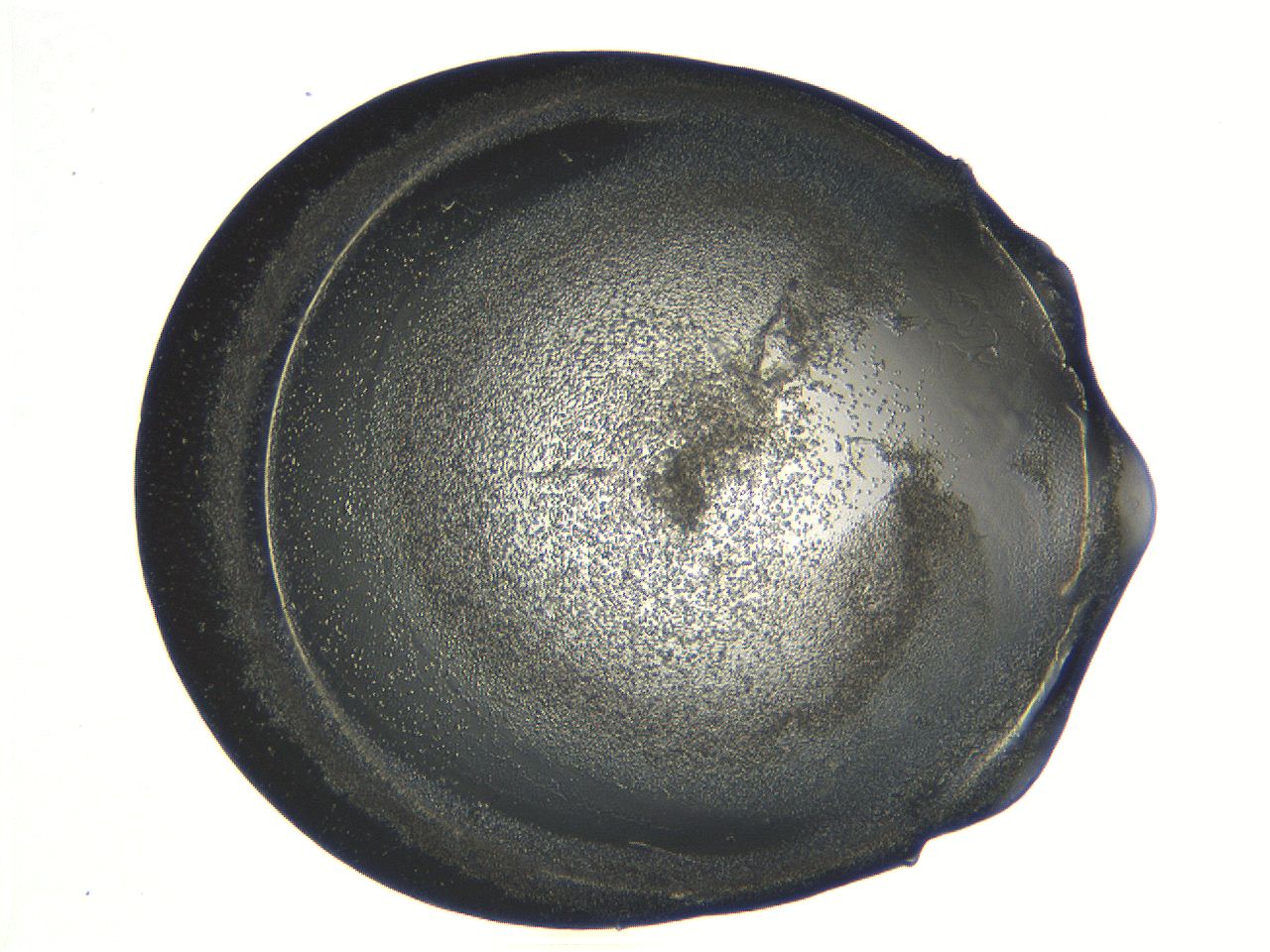 04i6_G9_ImagerDefaults_3.jpg
