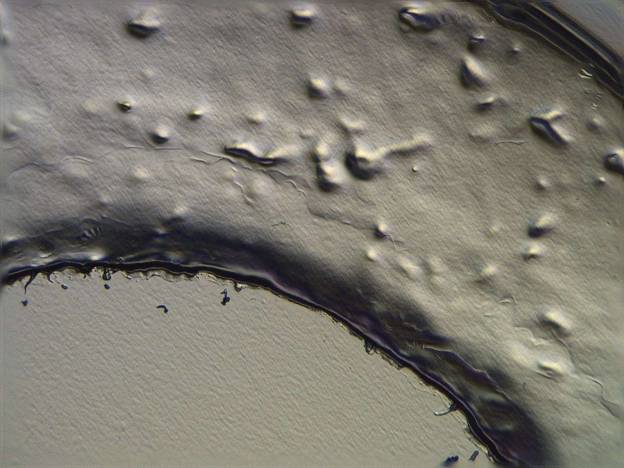 04i6_G10_ImagerDefaults_3.jpg