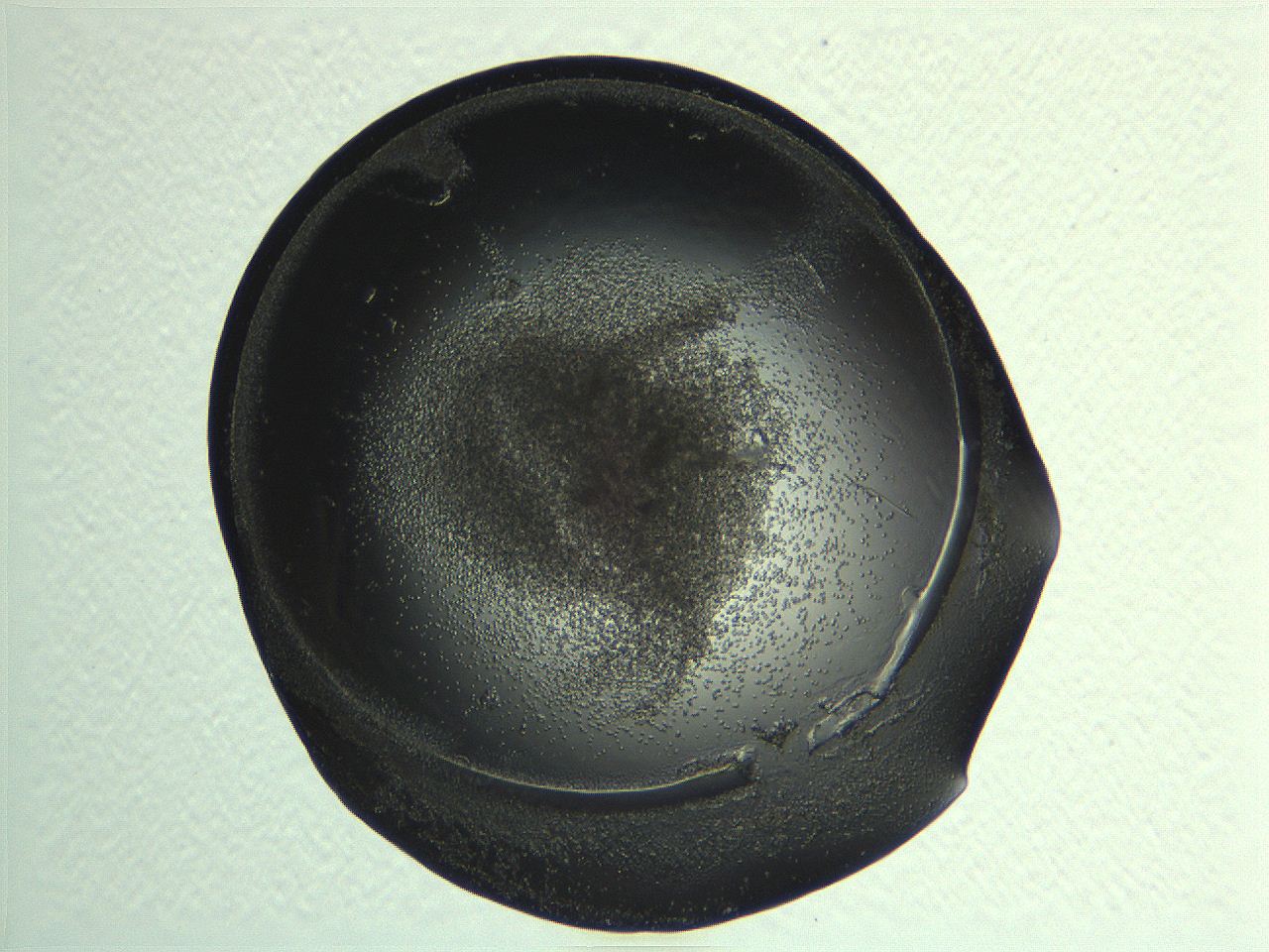 04i6_G11_ImagerDefaults_3.jpg