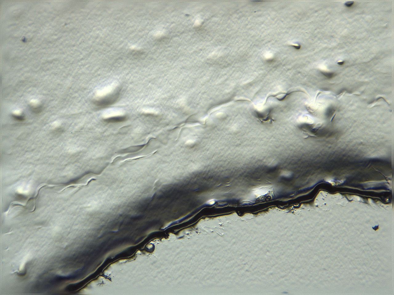 04i6_G12_ImagerDefaults_3.jpg