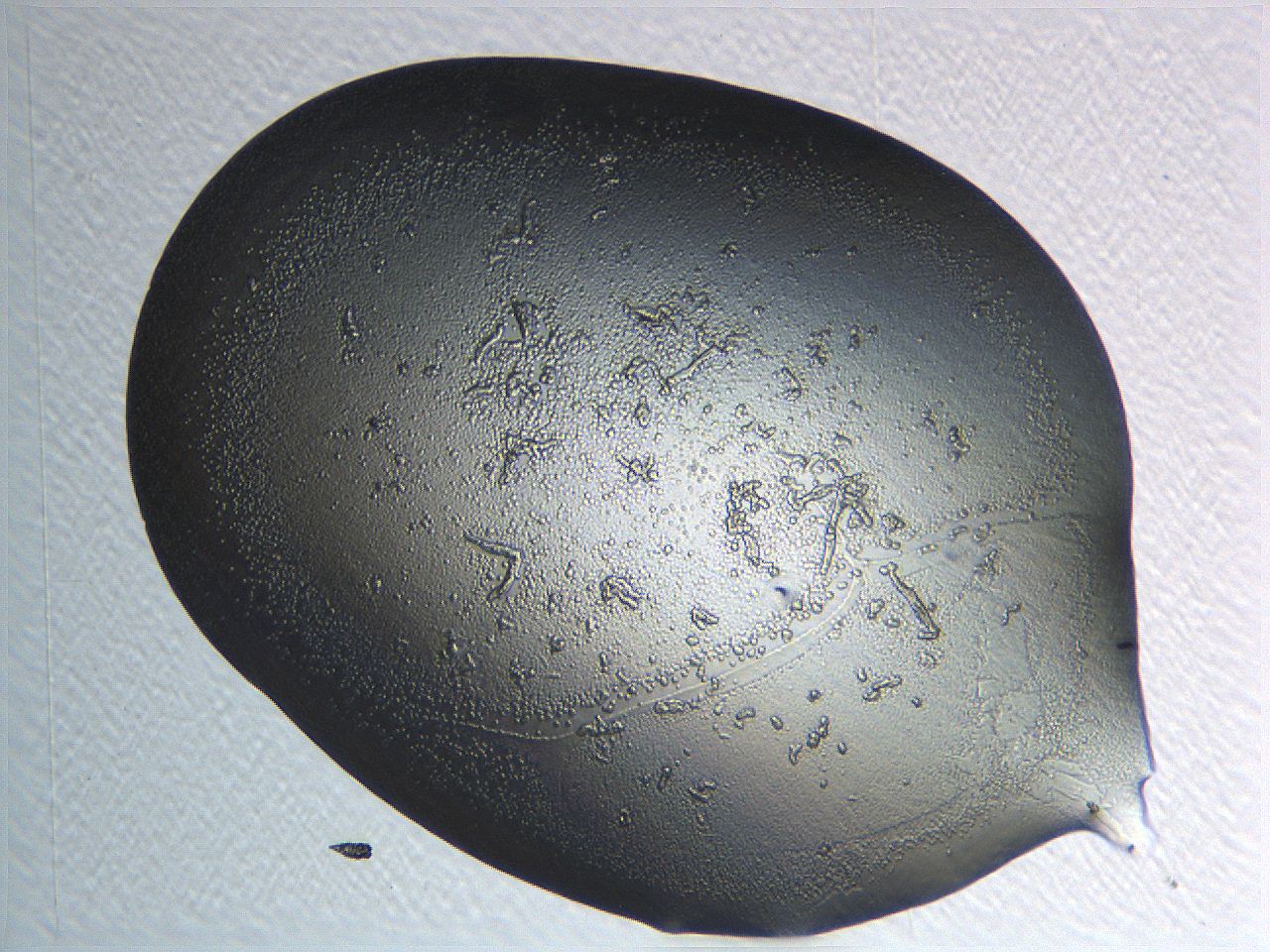 04i6_H1_ImagerDefaults_3.jpg