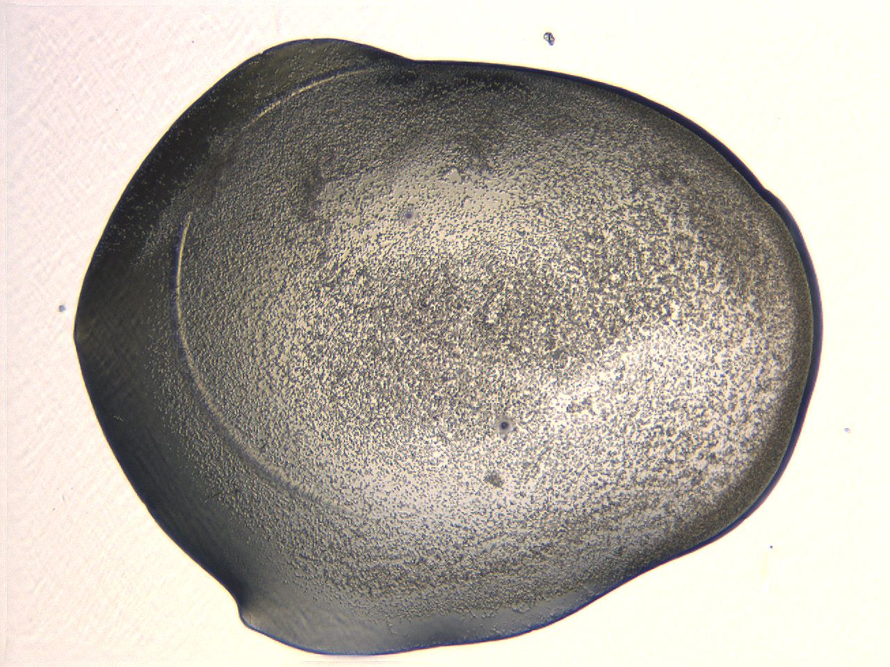 04i6_H2_ImagerDefaults_3.jpg