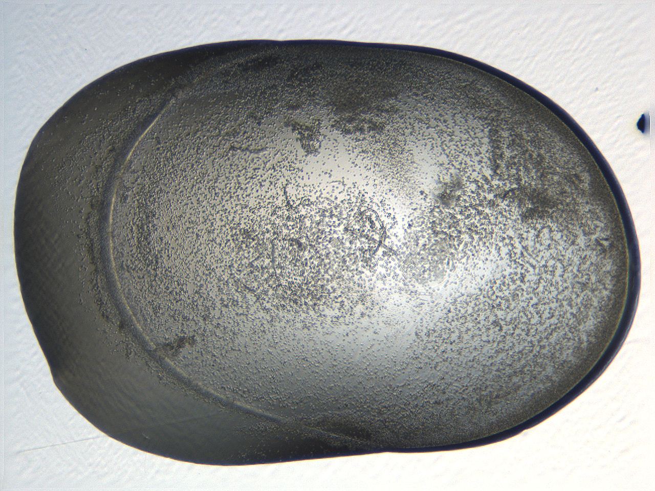 04i6_H4_ImagerDefaults_3.jpg