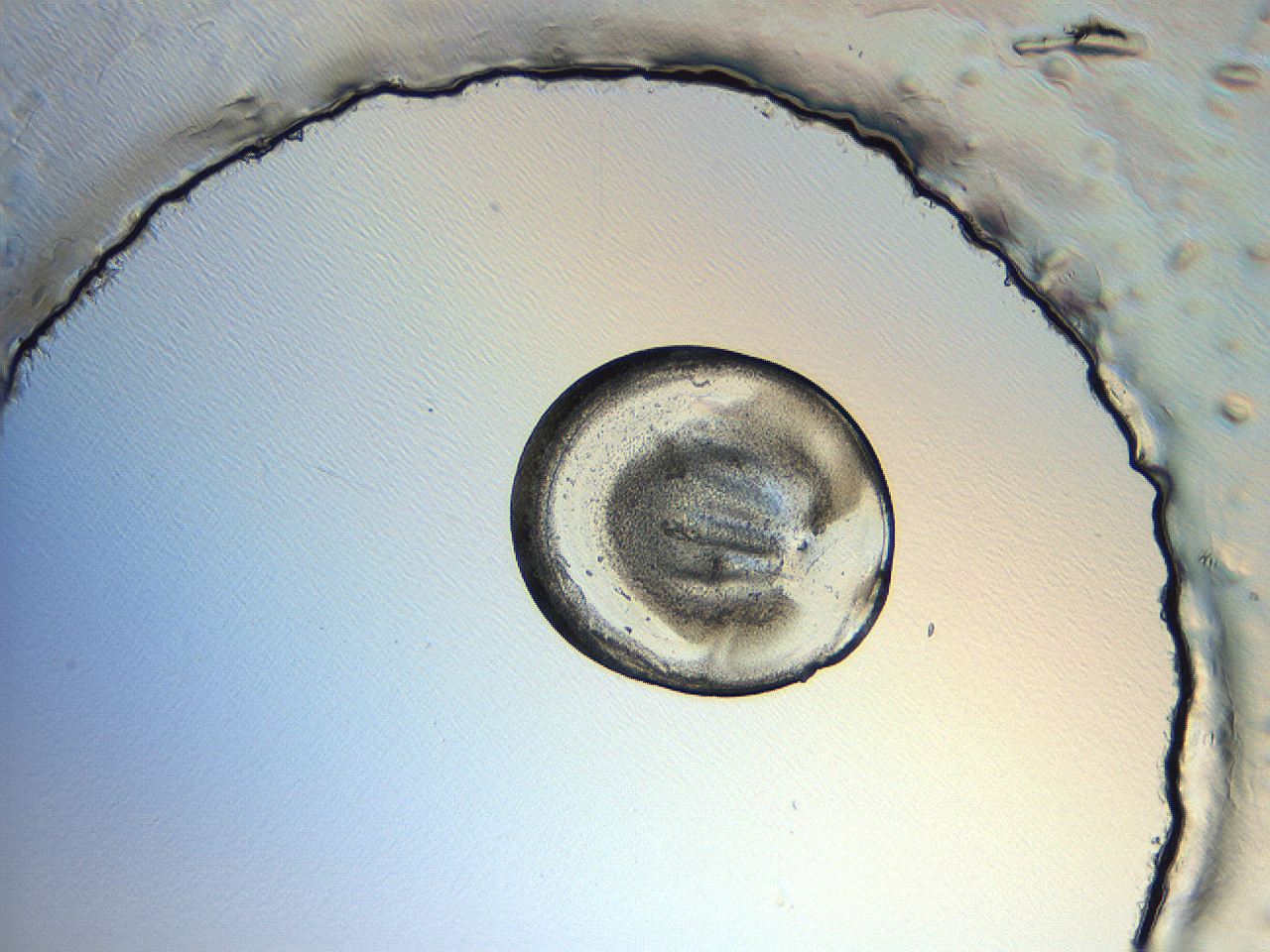 04i6_H9_ImagerDefaults_3.jpg