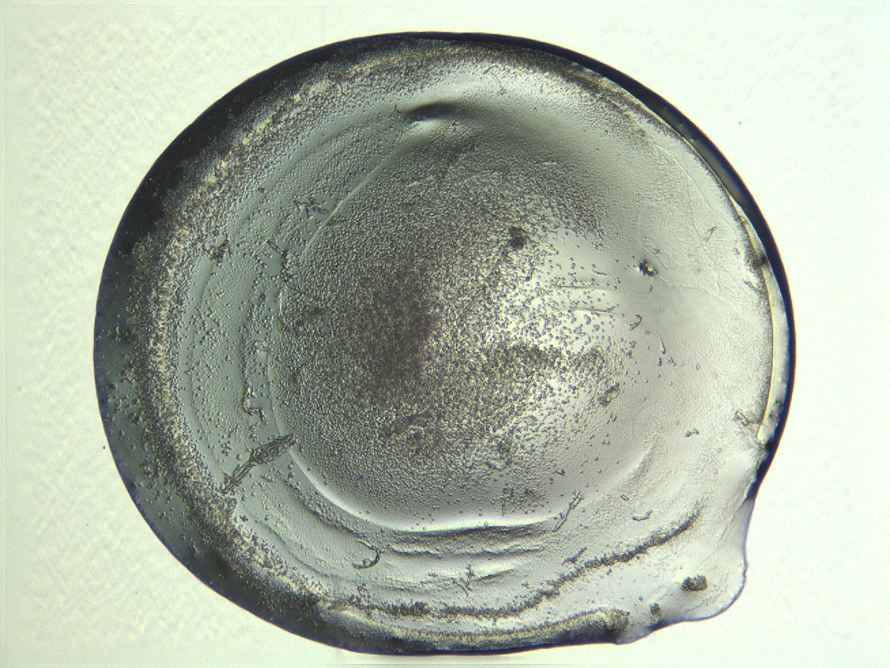04i6_H11_ImagerDefaults_3.jpg