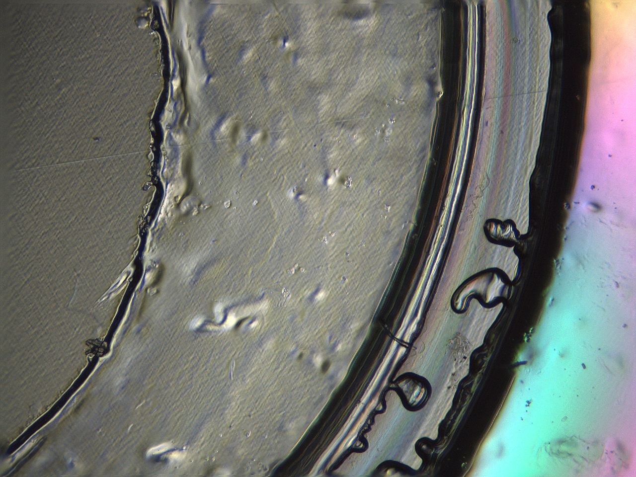 04i6_H12_ImagerDefaults_3.jpg