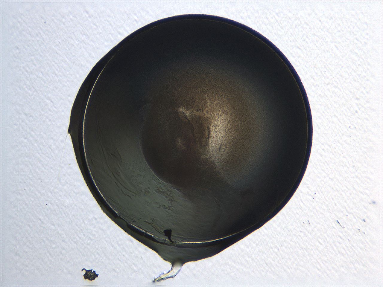 04i7_C10_ImagerDefaults_3.jpg