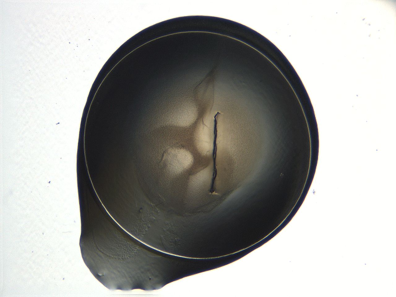 04i7_C7_ImagerDefaults_3.jpg